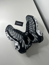 Air Max Plus Tn 'Black Metallic Silver'