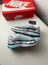 Nike p-6000 Dusty Cactus