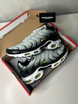 Nike air max plus tn black cactus