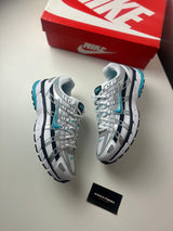 Nike p-6000 Dusty Cactus