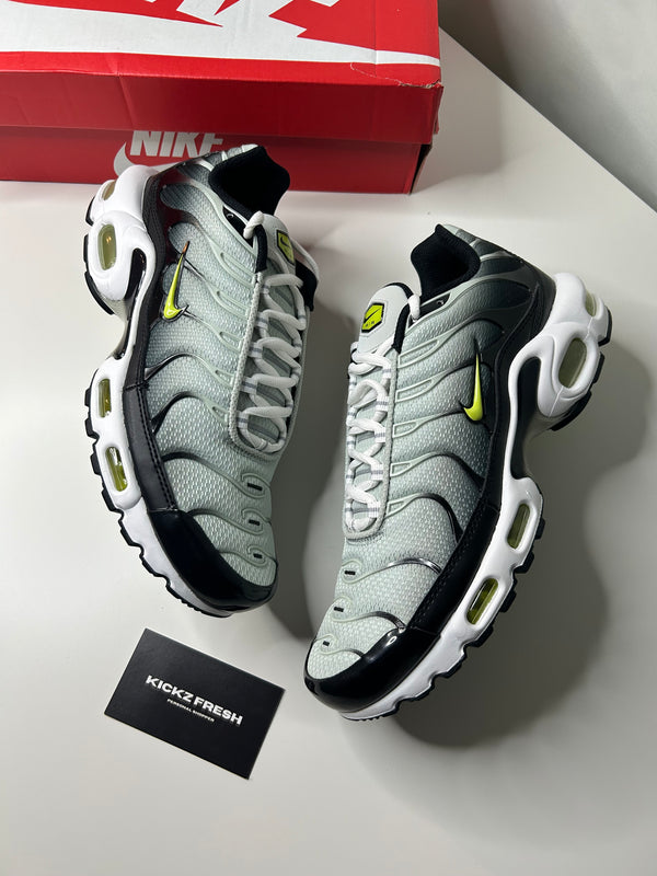 Nike air max plus tn black cactus
