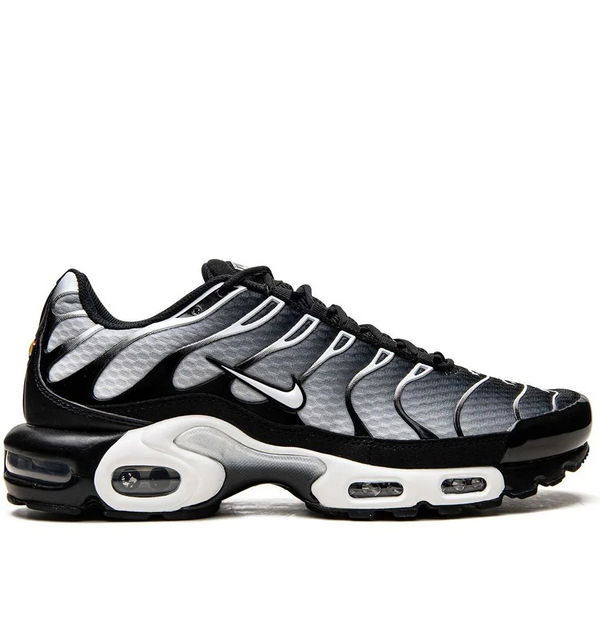 Air Max Plus Tn 'Black Metallic Silver'